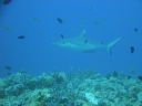 DSC00810.JPG