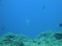 DSC00812.JPG