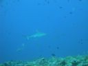 DSC00815.JPG