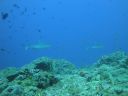 DSC00816.JPG