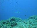 DSC00818.JPG