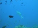 DSC00820.JPG