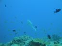 DSC00823.JPG