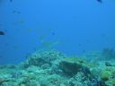 DSC00825.JPG