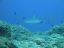DSC00827.JPG