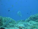 DSC00828.JPG