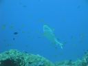DSC00829.JPG