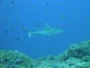 DSC00830.JPG
