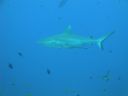 DSC00832.JPG