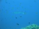 DSC00833.JPG