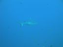 DSC00836.JPG
