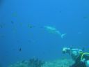 DSC00837.JPG
