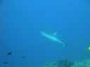 DSC00839.JPG