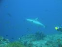 DSC00840.JPG