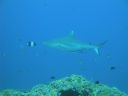 DSC00842.JPG