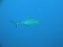DSC00843.JPG