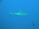 DSC00845.JPG