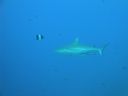 DSC00846.JPG
