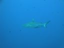 DSC00847.JPG