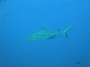DSC00848.JPG