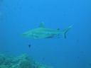 DSC00849.JPG