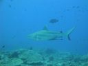 DSC00850.JPG