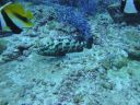 DSC00851.JPG