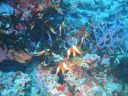 DSC00854.JPG