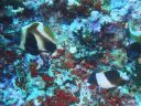 DSC00855.JPG