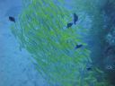 DSC00870.JPG