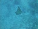 DSC00874.JPG