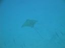 DSC00875.JPG