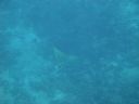 DSC00876.JPG