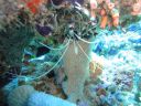 DSC00879.JPG