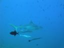 DSC00889.JPG