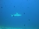 DSC00893.JPG