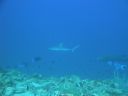 DSC00901.JPG
