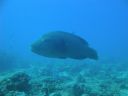 DSC00903.JPG