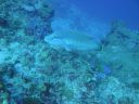 DSC00905.JPG