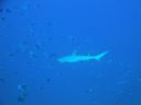 DSC00912.JPG