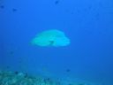 DSC00913.JPG