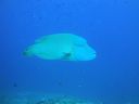 DSC00914.JPG