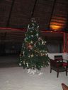 DSC00925.JPG