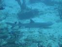 DSC00935.JPG