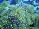 DSC00937.JPG