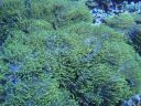 DSC00938.JPG