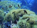 DSC00940.JPG
