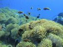 DSC00942.JPG