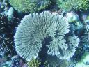 DSC00943.JPG
