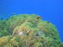 DSC00945.JPG